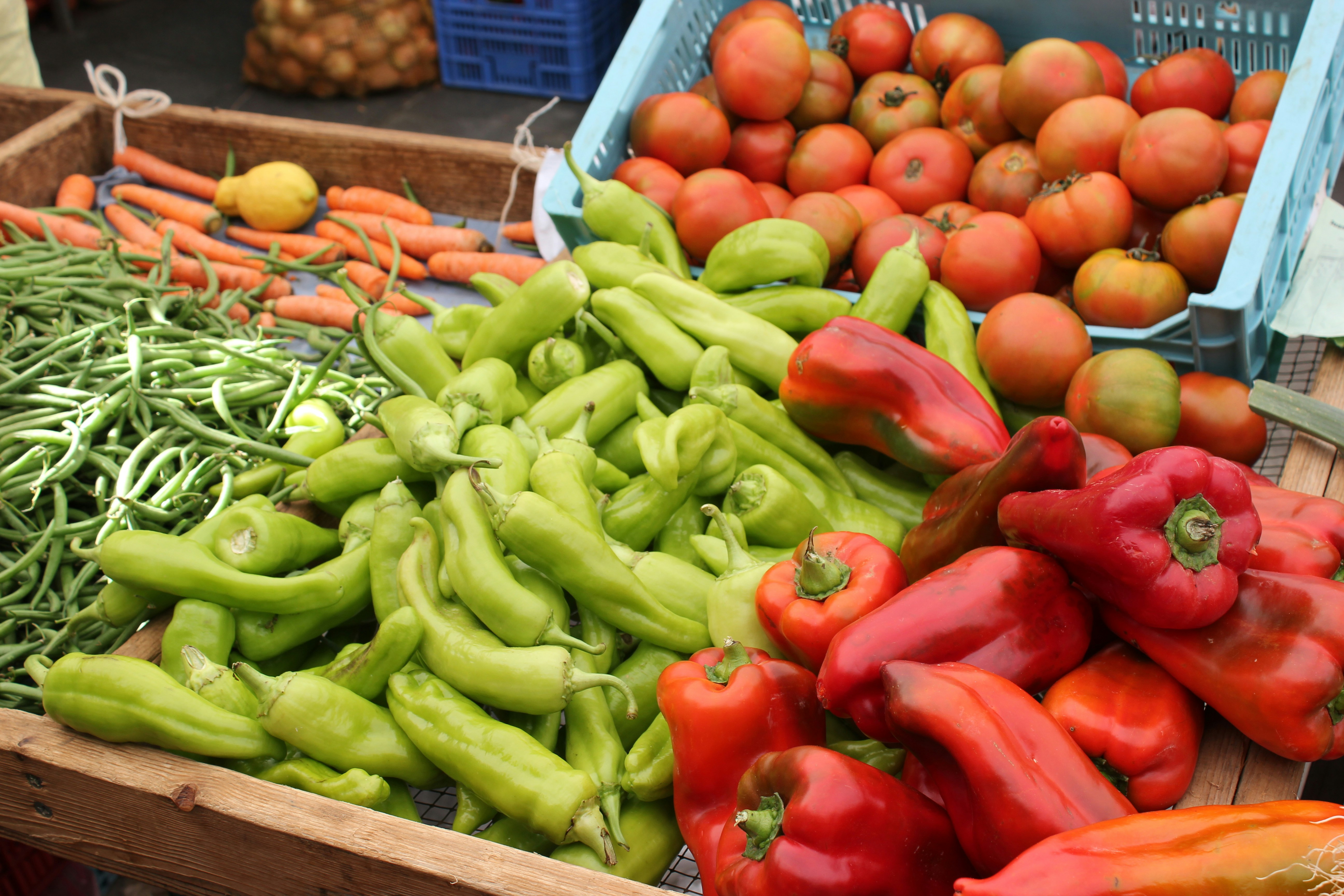 peppers, green beans, tomatoes